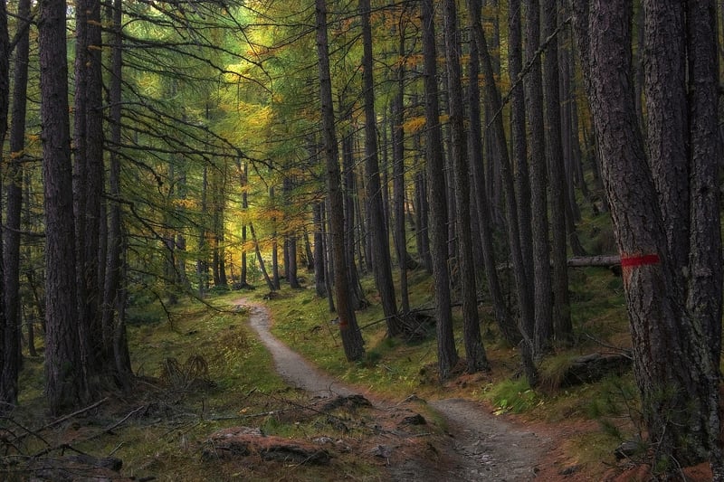 Hiking trail